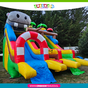 Mega Inflable Acuático – Don Hipo