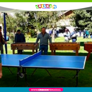 Mesas Ping Pong – Tenis de Mesa Profesional