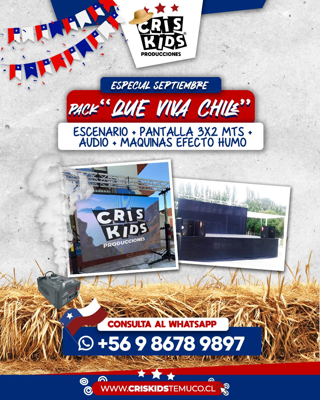 pack viva chile